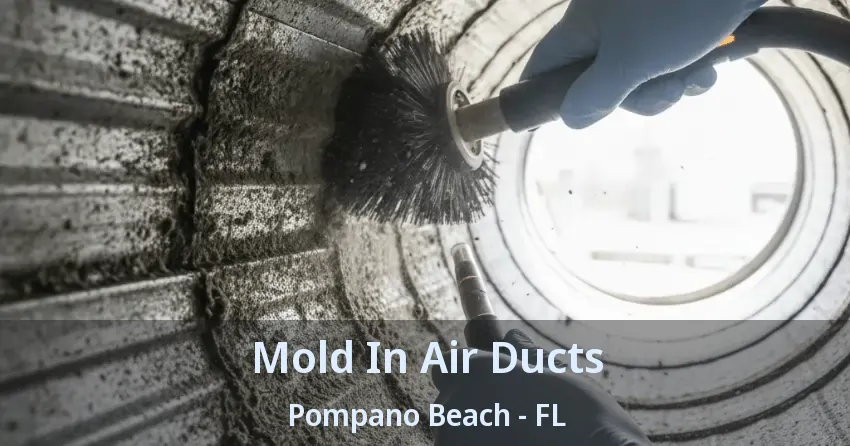 Mold In Air Ducts Pompano Beach - FL Mold In Air Ducts Pompano Beach - FL
