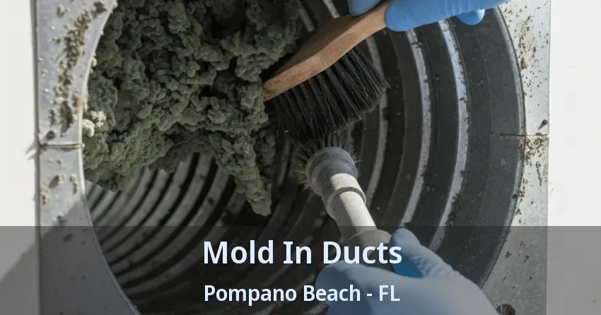 Mold In Ducts Pompano Beach - FL