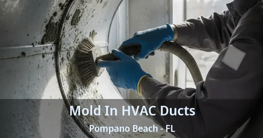 Mold In HVAC Ducts Pompano Beach - FL Mold In HVAC Ducts Pompano Beach - FL